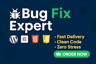 fix wordpress issues, elementor error, and any bug in 3 hrs