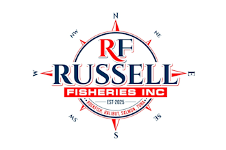 create high quality and beautiful compass logo design