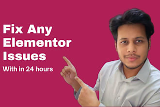 fix any elementor issue within 24 hours