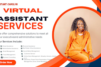offer executive virtual assistant services