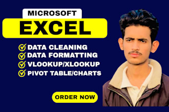 do ms excel data cleaning and analysis ,formatting