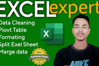 clean excel data, pivot table,chart