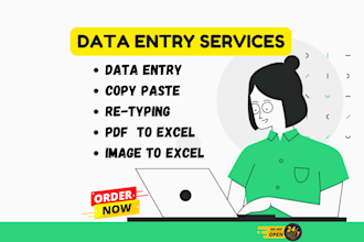 do fast data entry, PDF to excel and retyping work