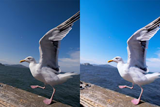 enhance your photos improving lighting and making it better