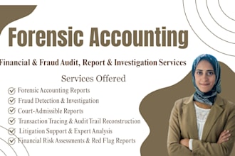 review and perform forensic accounting, financial audits, and investigate fraud