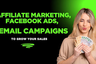 do affiliate marketing, facebook ads  and email campiaigns to grow your sales