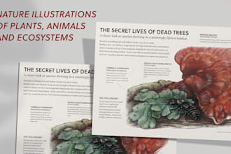 draw custom nature illustrations for books, guides, posters and eco brands