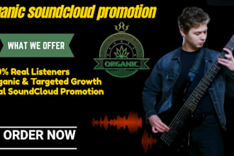 do organic soundcloud music promotion using google ranking or radio submission