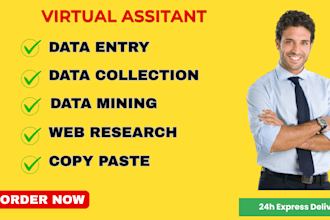 do excel data entry, copy paste, convert PDF, web research, typing, data entry
