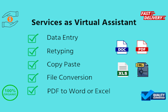 do data entry, retyping, copy paste, any file conversion, pdf to word or excel