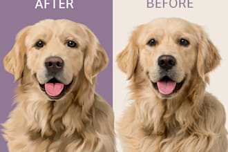 draw your cat, dog and other animals into vector portrait