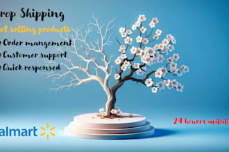 manage walmart drop shipping,  2 step store VA