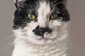 draw a pastel pencil pet portrait of your pet photo