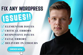 fix wordpress errors, bugs, and issues professionally within 24 hours