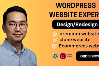 design redesign revamp edit wordpress website using avada astra pro divi blocksy