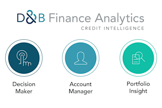 professional credit and business analyst