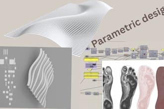 do custom parametric design or 3d modeling in grasshopper or rhino