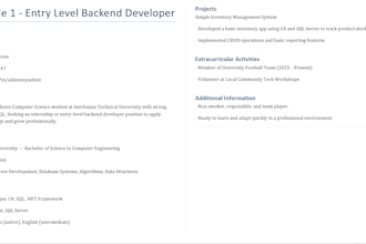 create a professional and modern CV or resume for you