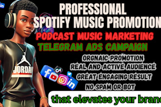 promote your spotify music with spotify ads campaign to grow listeners streamers