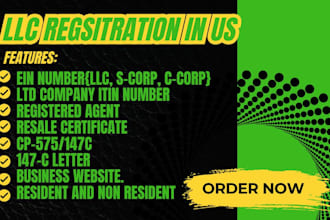 file your US taxes, ein, llc tax, business and individual tax professionally