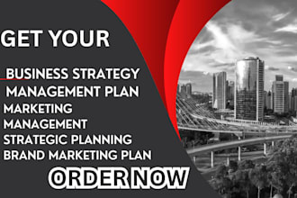 build investor ready strategic brand marketing  plan for your business