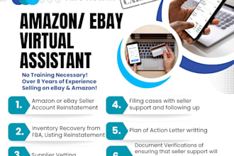 help guide you through amazon or ebay account reinstatement process