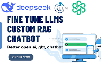 set up fine tune llms, deepseek, llama, custom rag and openai