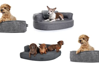 do 3d pet products, pets furniture, pets house, pets clinic, animal hospital
