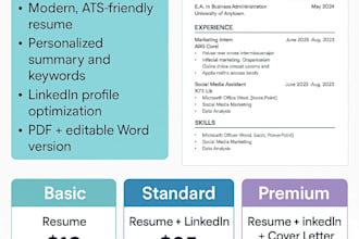 write a professional resume and optimize your linkedin profile
