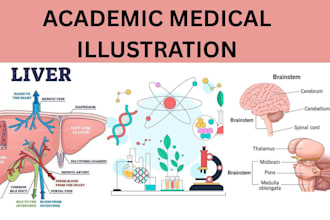 design academic medical illustrations flowcharts diagrams scientific book