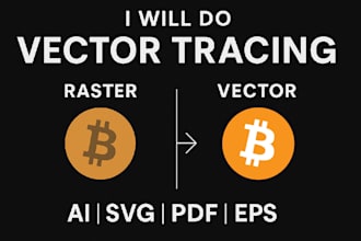 professional vector tracing and redraw logo