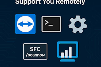 provide expert technical support, windows troubleshooting, and remote IT