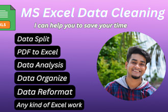 do excel data cleaning, data format, data marge, data split