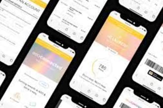 develop loyalty app, reward, points based, tier based, cashback, cuopon code