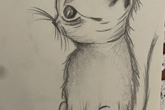 hand drawings in pencil o pen