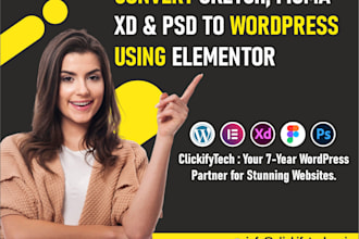 develop wordpress websites and manage your digital marketing