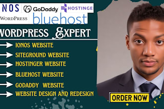 design wordpress website on ionos, siteground, hostinger, bluehost, godaddy wix