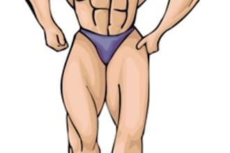 supply a Ready to go Wordpress Niche website in the Muscle Building Niche