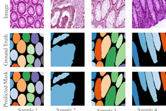 build ai models using deep learning for medical and signals and image data