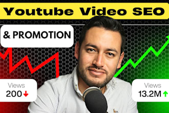 be your youtube SEO expert and channel manager to grow views and subscribers