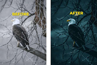colour grade your images into magic