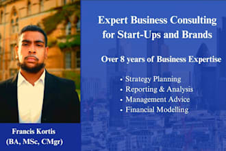 be your business consultant, coach or mentor for strategy, ideas and advice