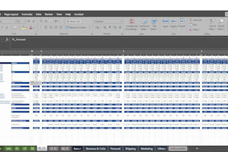 provide financial statements, models, analysis and forecasts