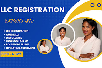 professionally handle your llc registration , USA business registration