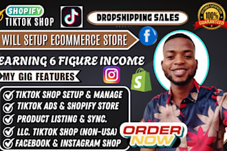 setup and optimize tiktok shop, fix facebook and instagram meta shop
