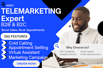 do b2b cold calling, telemarketing, script writing, VA and appointment setting