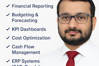 create professional financial reports budgets and forecasts