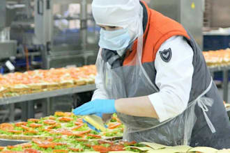 do food formulation and product development for business