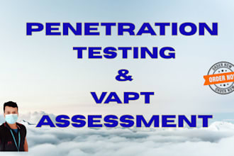 do website penetration testing with professional vapt report