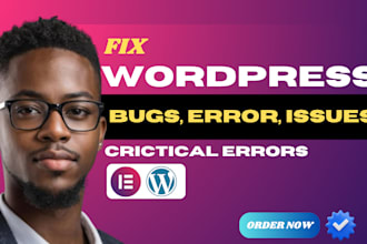 fix wordpress elementor internal server error woocommerce bug email issue in2hrs